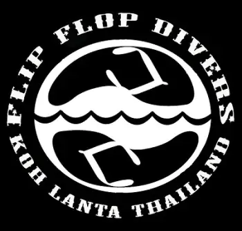 Flip Flop Divers