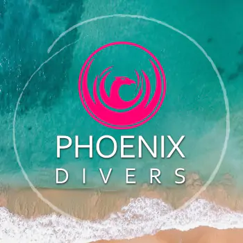 Phoenix Divers